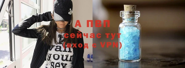 мяу мяу мука Абаза