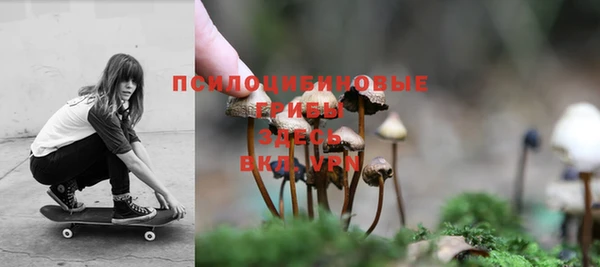 мяу мяу мука Абаза