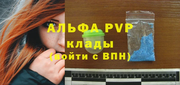 мяу мяу мука Абаза