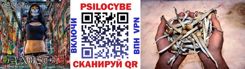 МЕГА tor  купить наркотик  Мосальск  Галлюциногенные грибы Psilocybine cubensis 
